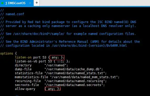 Linux环境中DNS服务的安装与配置