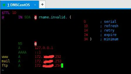 Linux环境中DNS服务的安装与配置
