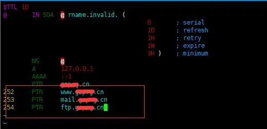 Linux环境中DNS服务的安装与配置