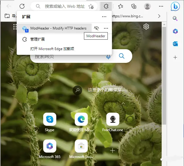 国内最新亲测可用请微软新必应(Bing+ChatGPT)3分钟申请使用全流程