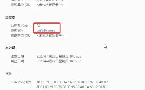 Ingress自动颁发永久免费证书