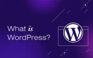 wp