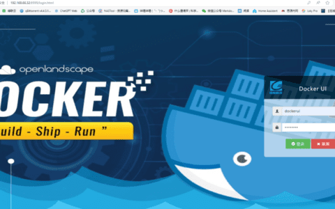 dockerui一款好看好用的全中文docker管理工具