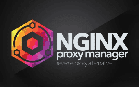 超强大的 Nginx 可视化管理平台 Nginx-Proxy-Manager 中文入门指南
