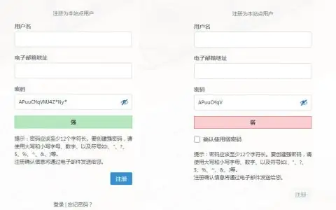 WordPress 注册时输入密码并检测密码强度