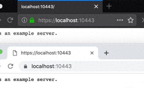 mkcert开源本地SSL证书生成器，轻松搞定HTTPS开发环境