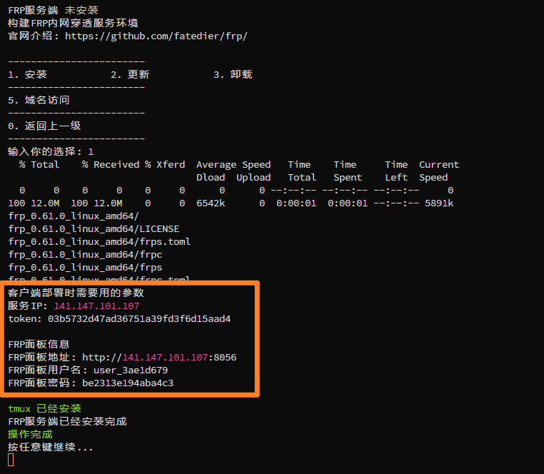 FRP内网穿透服务快速搭建教学