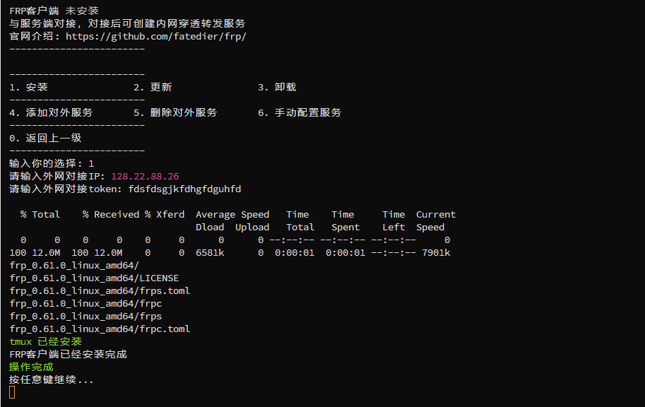 FRP内网穿透服务快速搭建教学