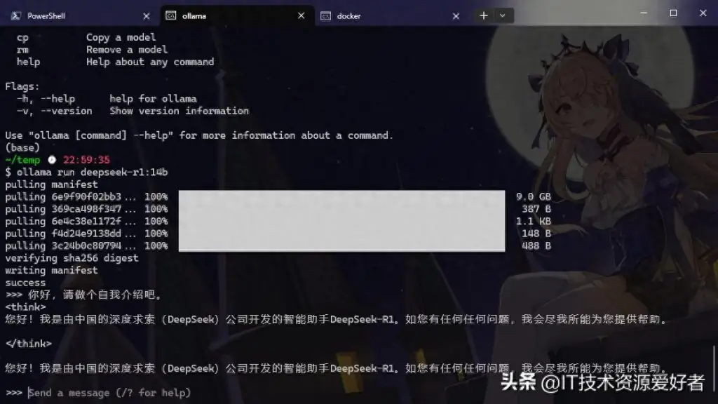 Linux本地部署DeepSeek,ollama+DeepSeek+Open WebUI部署教程