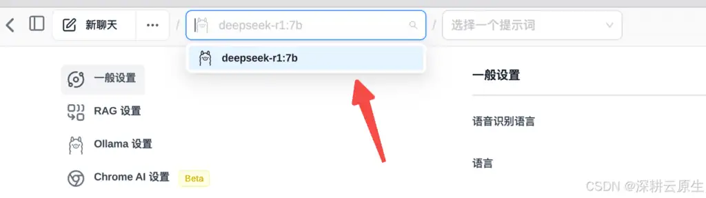 Ollama本地部署DeepSeek大模型,Page Assist插件,轻松实现联网搜索功能