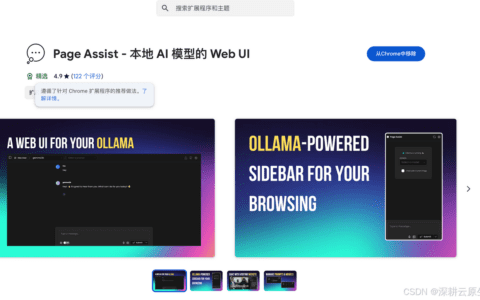 Ollama本地部署DeepSeek大模型，Page Assist插件，轻松实现联网搜索功能