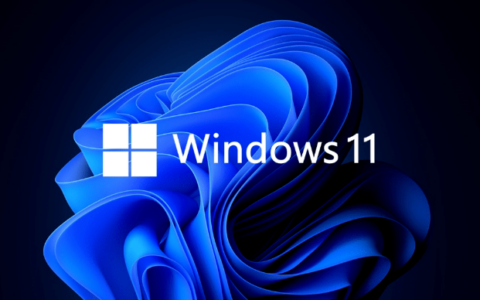 5 种实用方法，轻松进入和退出 Windows 11 安全模式