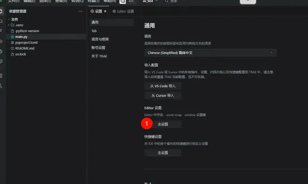trae 配置 python 开发环境