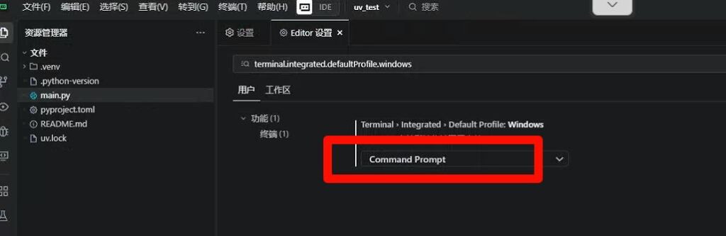 trae 配置 python 开发环境