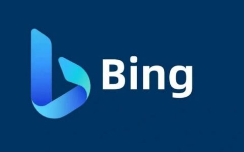 Bing 搜索引擎检索语法