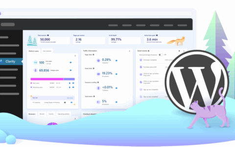 无缝集成！Microsoft Clarity 官方插件为您的WordPress网站带来深度用户行为分析