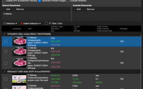 Video Duplicate Finder 视频去重神器：快速精准找出重复视频/图片，告别重复文件！