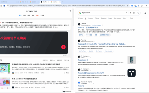 Chrome谷歌浏览器单Tab标签页，分成左右两屏功能设置方法