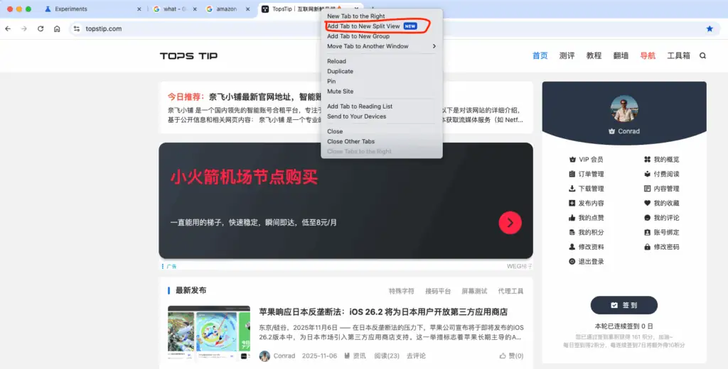 Chrome谷歌浏览器单Tab标签页，分成左右两屏功能设置方法