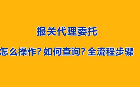 单一窗口报关代理委托怎么操作？如何查询？全流程步骤