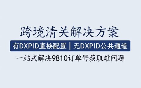 有DXPID直接配置，无DXPID公共通道！跨国通一站式解决9810申报难题
