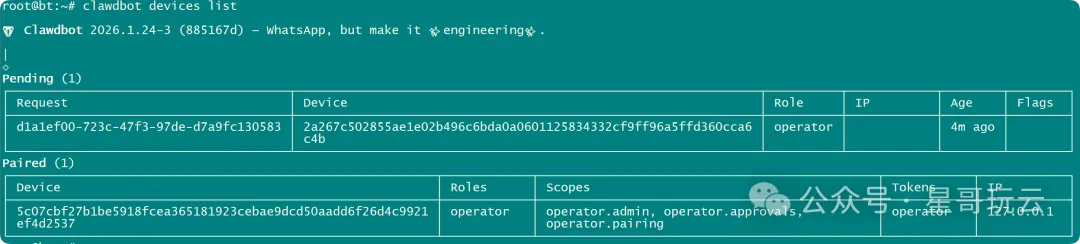 宝塔面板一键部署Clawdbot:从安装、配置Moonshot API到开启HTTPS